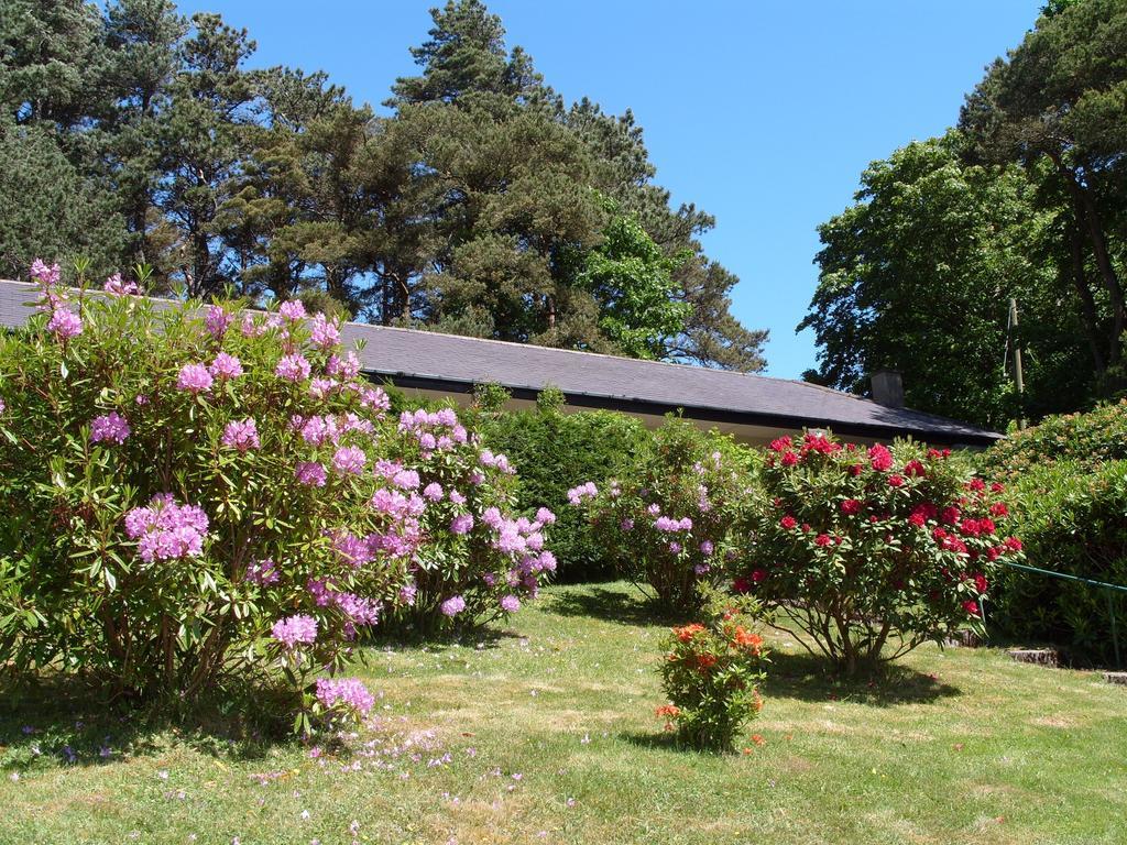 Plas Heulog Holiday Accommodation Llanfairfechan Luaran gambar