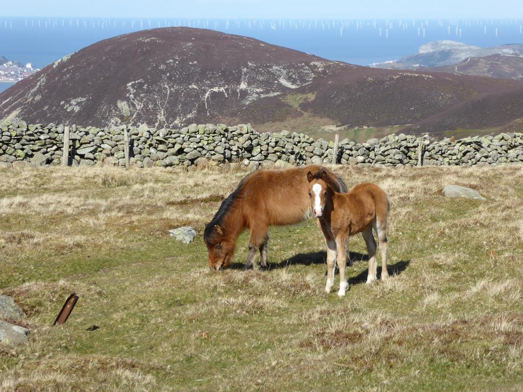 Plas Heulog Holiday Accommodation Llanfairfechan Luaran gambar